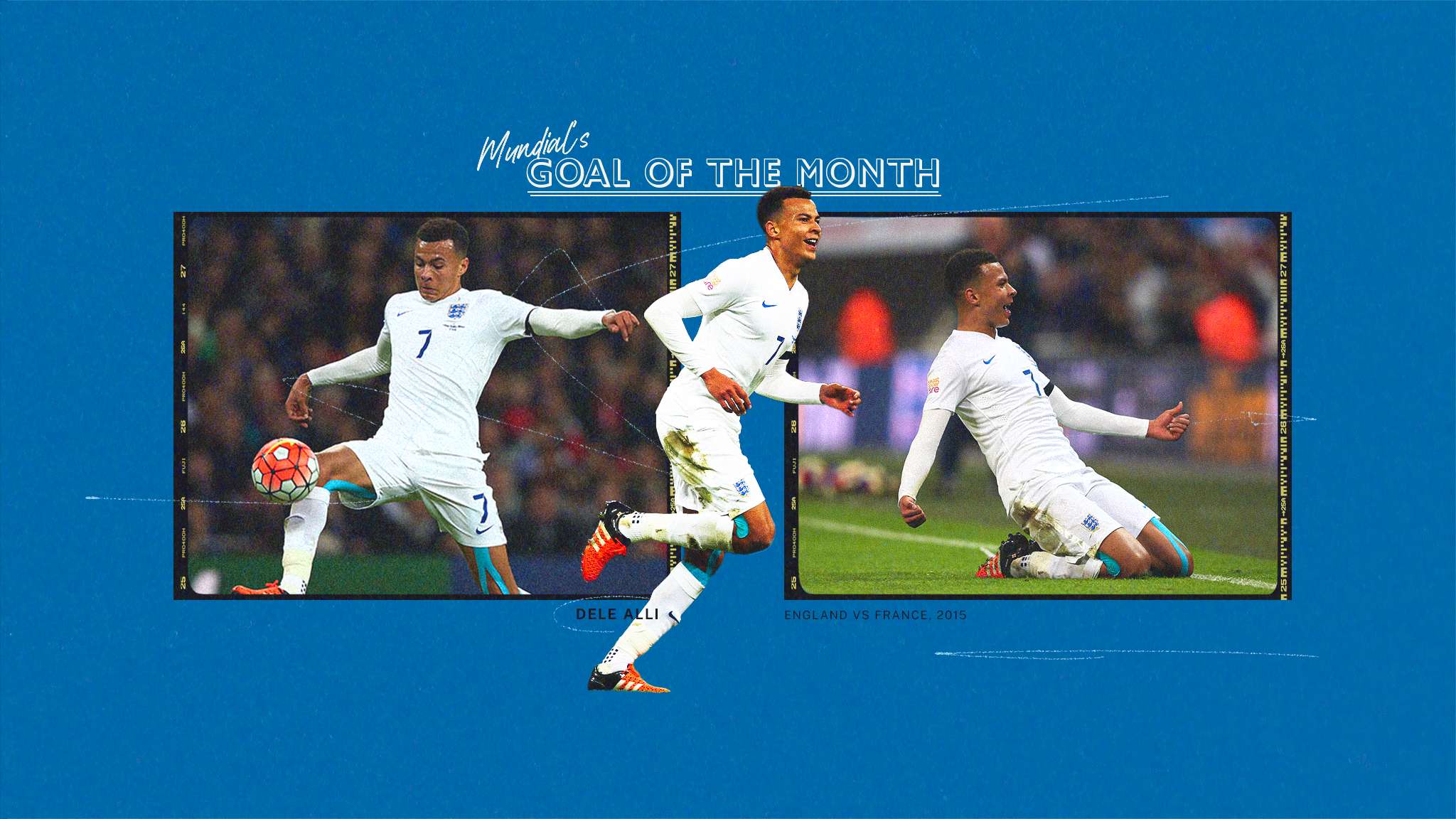 蝇量级的转 蝇量级的转